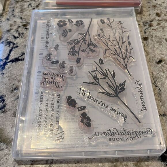 Stampin Up 4 Sets - Watercolor Wings, silhouettes, Smile, Wild about flowers - Picture 9 of 9